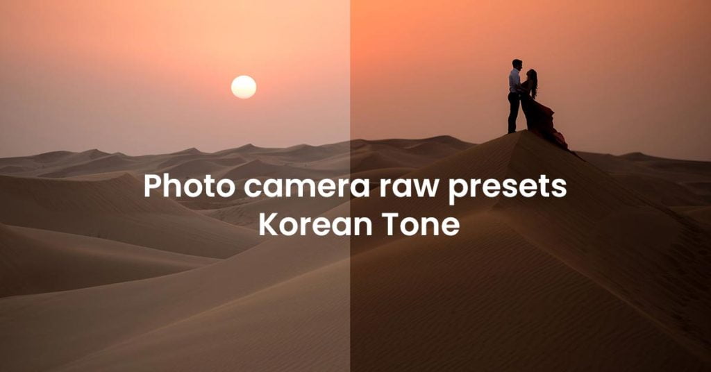 Photo camera raw presets Korean Tone